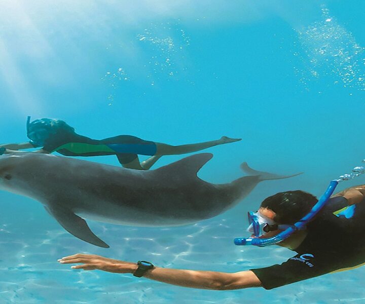 Dolphin House (Casa Delfinilor) din Hurghada