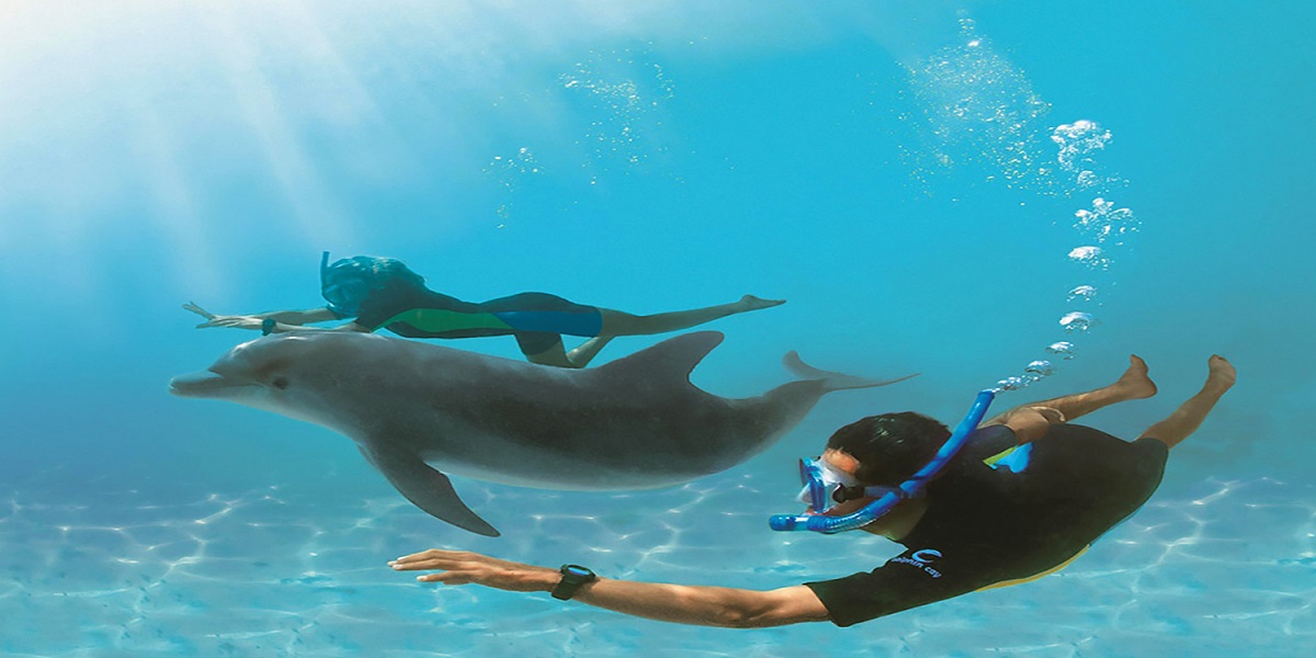 Dolphin House (Casa Delfinilor) din Hurghada
