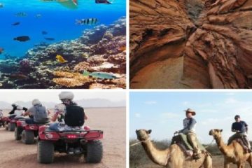 Mix safari moře a poušť 5 v 1 - Zlatý Dahab