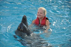 Plaukimas su delfinais delfinariume iš Hurgados