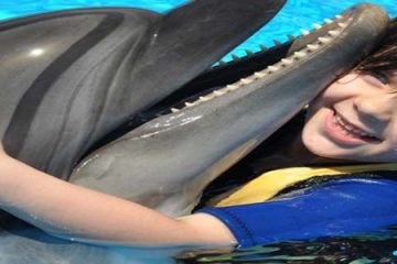 Plavání S Delfíny z Hurghady