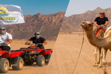 Quad safari 3 godziny i jazda na wielbłądach Po lunchu