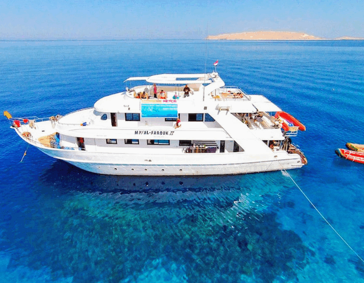 Snorkeling langa Insula Tiran din Sharm el Sheikh