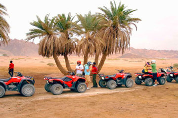 Discovery Safari morning from Hurghada