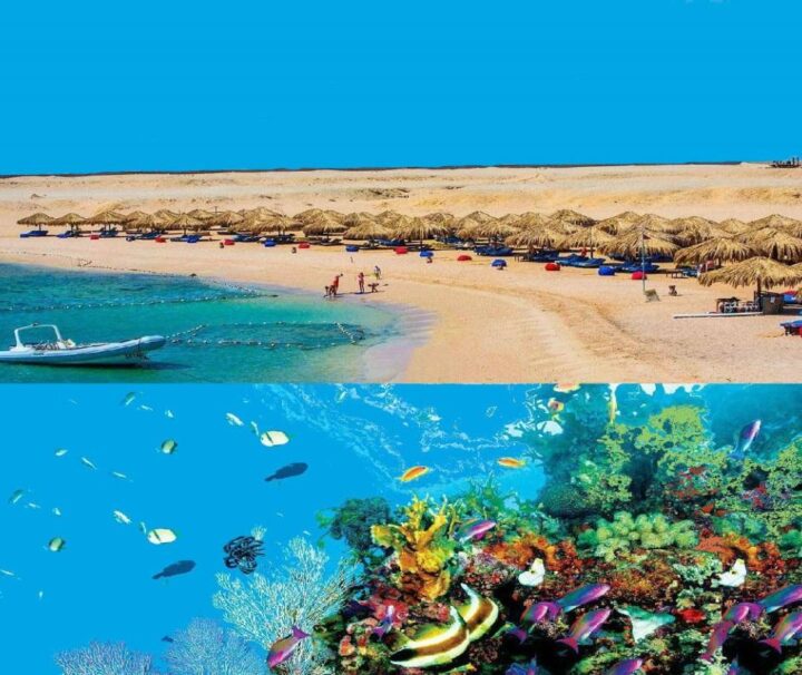 Ganztägige Schnorcheltour in Sharm el Naga von Hurghada