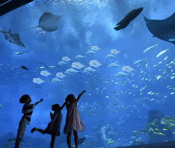 Hurghada Grand Aquarium