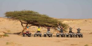 Private 3-Hour Morning Quad Safari and Camel ride from Sharm el sheikh