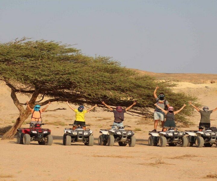 Private 3-Hour Morning Quad Safari and Camel ride from Sharm el sheikh