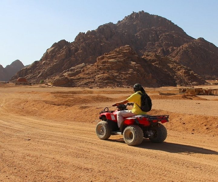 Private 3-Hour Quad Safari and Camel ride after lunch from Sharm el sheikh