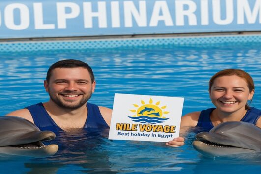 Swim with Dolphins in Hurghada – Unforgettable Dolphin Experiences