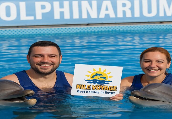 Swim with Dolphins in Hurghada – Unforgettable Dolphin Experiences