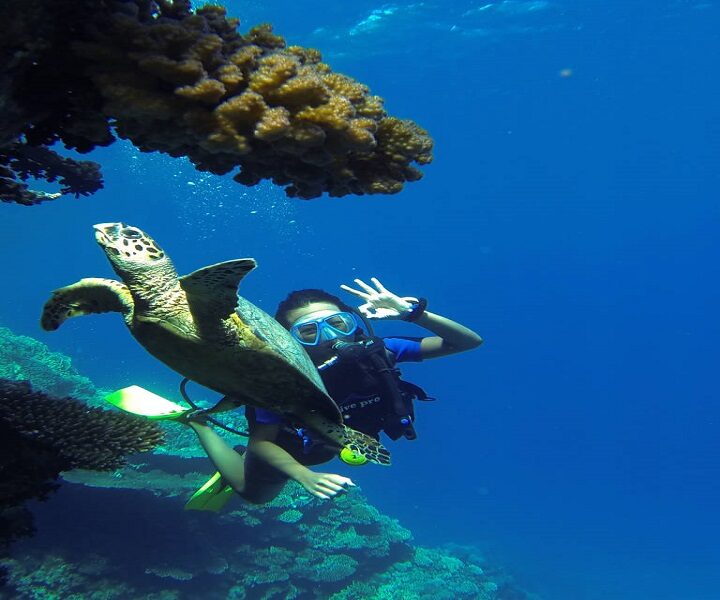 Tauchausflug in Hurghada