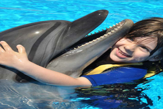 Swim with Dolphins in Hurghada