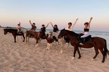 Катание на лошадях в Хургаде