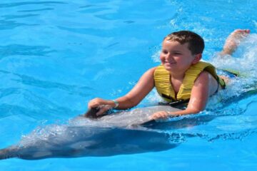 Nager avec les dauphins à Hurghada