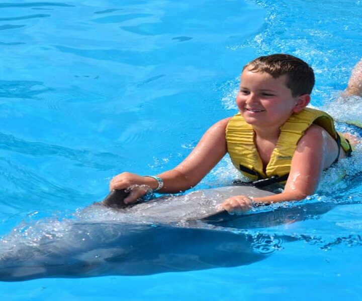 Nager avec les dauphins à Hurghada