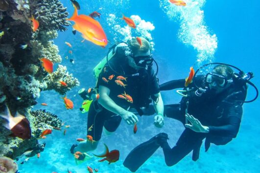 Diving with Boat trip to Ras Mohammed &white island Snorkeling