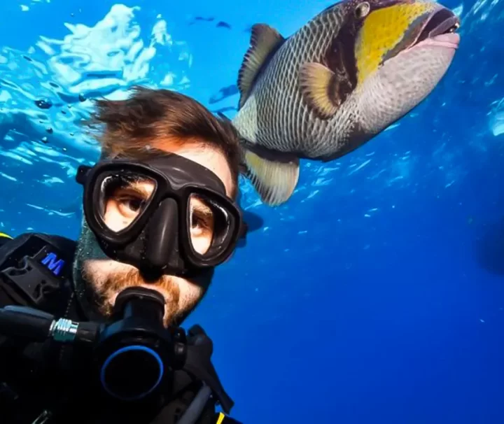 Excursion de plongée à Hurghada