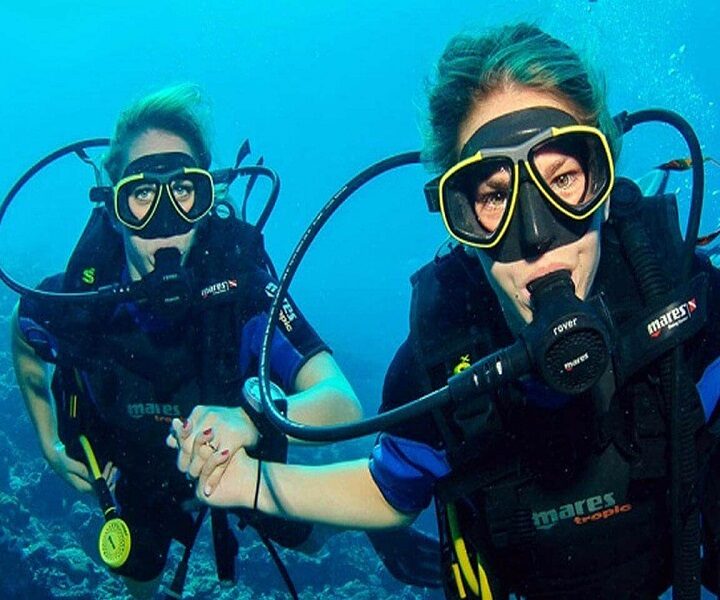 Excursion de plongée près de l'île de Tiran