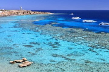 Excursion d'une journée de plongée en apnée près de l'île de Tiran