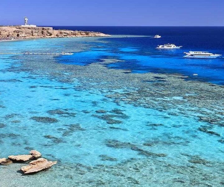 Excursion d'une journée de plongée en apnée près de l'île de Tiran