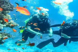 Immersioni e snorkeling a Ras Mohamed e all'Isola Bianca in barca