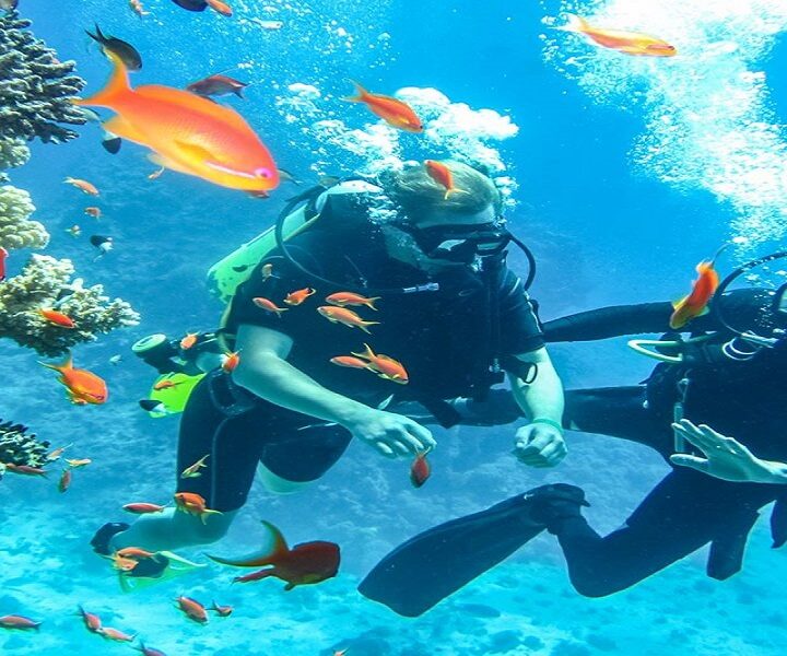 Immersioni e snorkeling a Ras Mohamed e all'Isola Bianca in barca