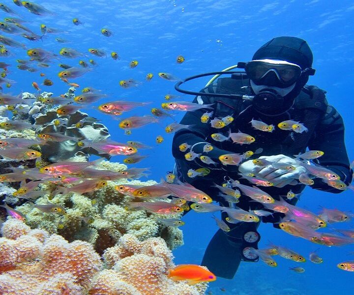 Plongée sous-marine à partir du rivage à Sharm el Sheikh