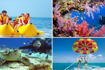 Plongée sous-marine et divertissement à Sharm el Sheikh