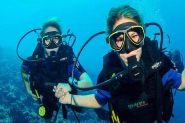 Snorkeling e immersioni vicino all'isola di Tiran in barca