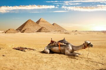 Excursion d'une journée au Caire depuis Hurghada