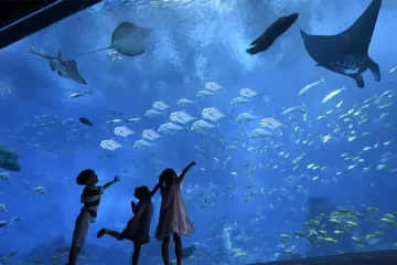 Hurghada Grand Aquarium