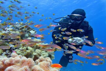 Hurghada'da Tüplü Dalış Gezisi