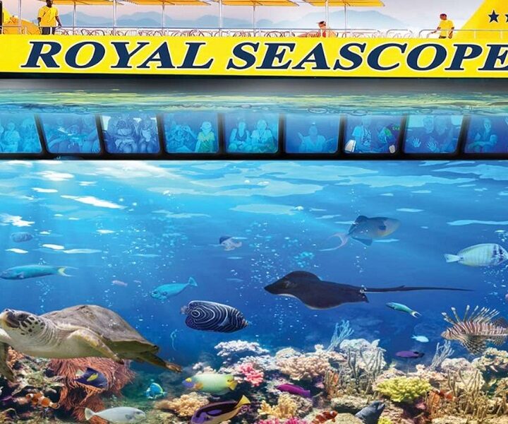 Vip Royal Sea Scope yarı denizaltı