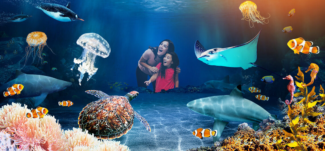 hurghada grand aquarium recenze