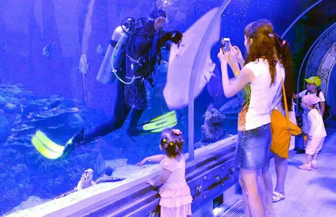 hurghada grand aquarium vstupenky