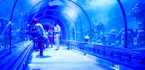 hurghada grand aquarium vstupenky 