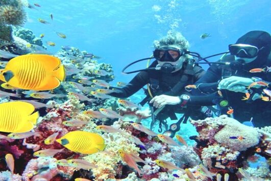 Potápění u ostrova Tiran z Sharm El Sheikh