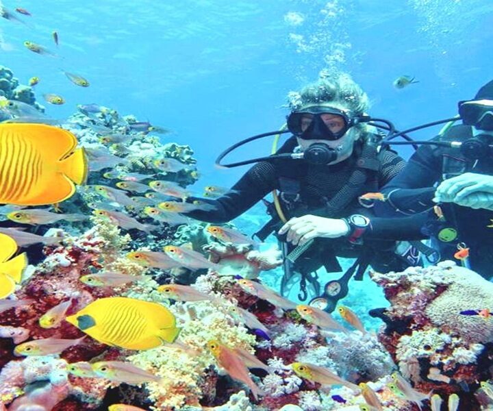 Potápění u ostrova Tiran z Sharm El Sheikh