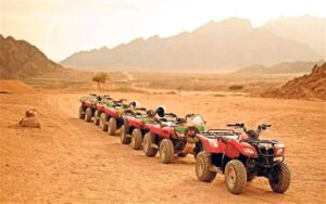 watch colored fish in red sea excursion