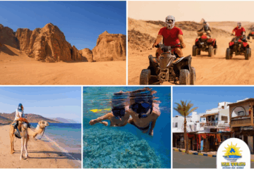 Mix Safari Dykuma ir Jūra 5 in 1 – Šarm el Šeiche