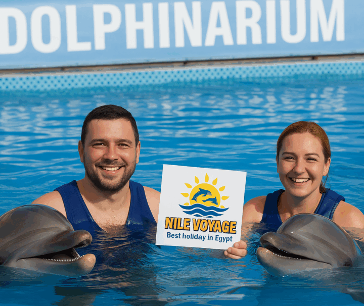 Plaukimas su delfinais Šarm el Šeiche