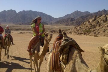 Privatus rytinis safaris Šarm el Šeiche ir kupranugario jodinėjimas