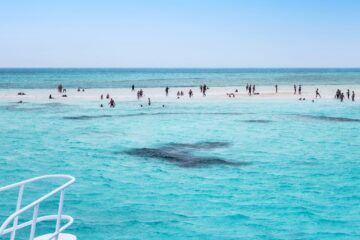 Ras Mohammed ir White Island Snorkeling iš Šarm el Šeicho