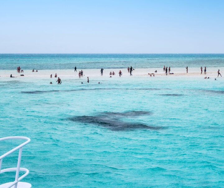 Ras Mohammed ir White Island Snorkeling iš Šarm el Šeicho