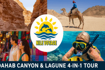 Dahab Canyon & Lagune 4-in-1 Tour | Dahab Ausflug & Aktivitäten