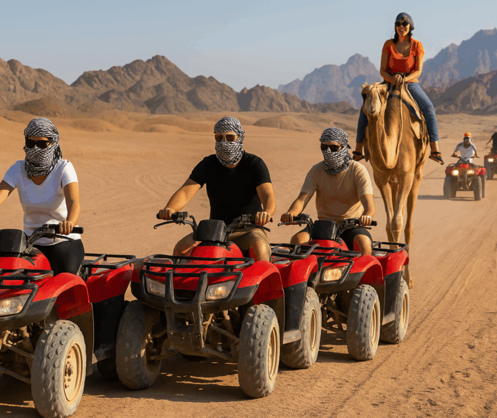 Private Morgen-Quad-Safari & Kamelritt in Sharm El Sheikh